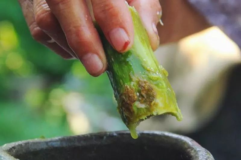 椋熺勃鑰呬笉鍏ヤ镜,椋熶箣鏃犺嚟寮冧箣鍙儨
