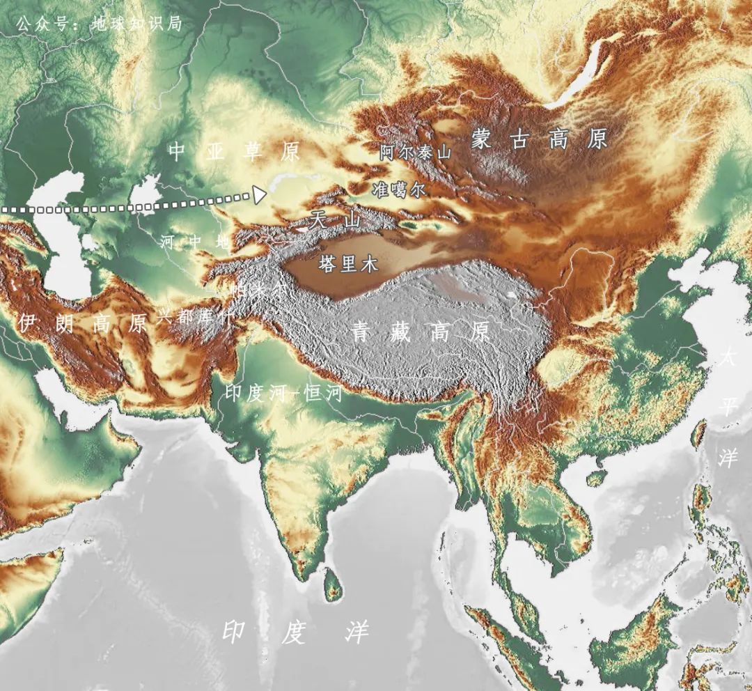 谁在保护金丝猴,谁在保护北极熊