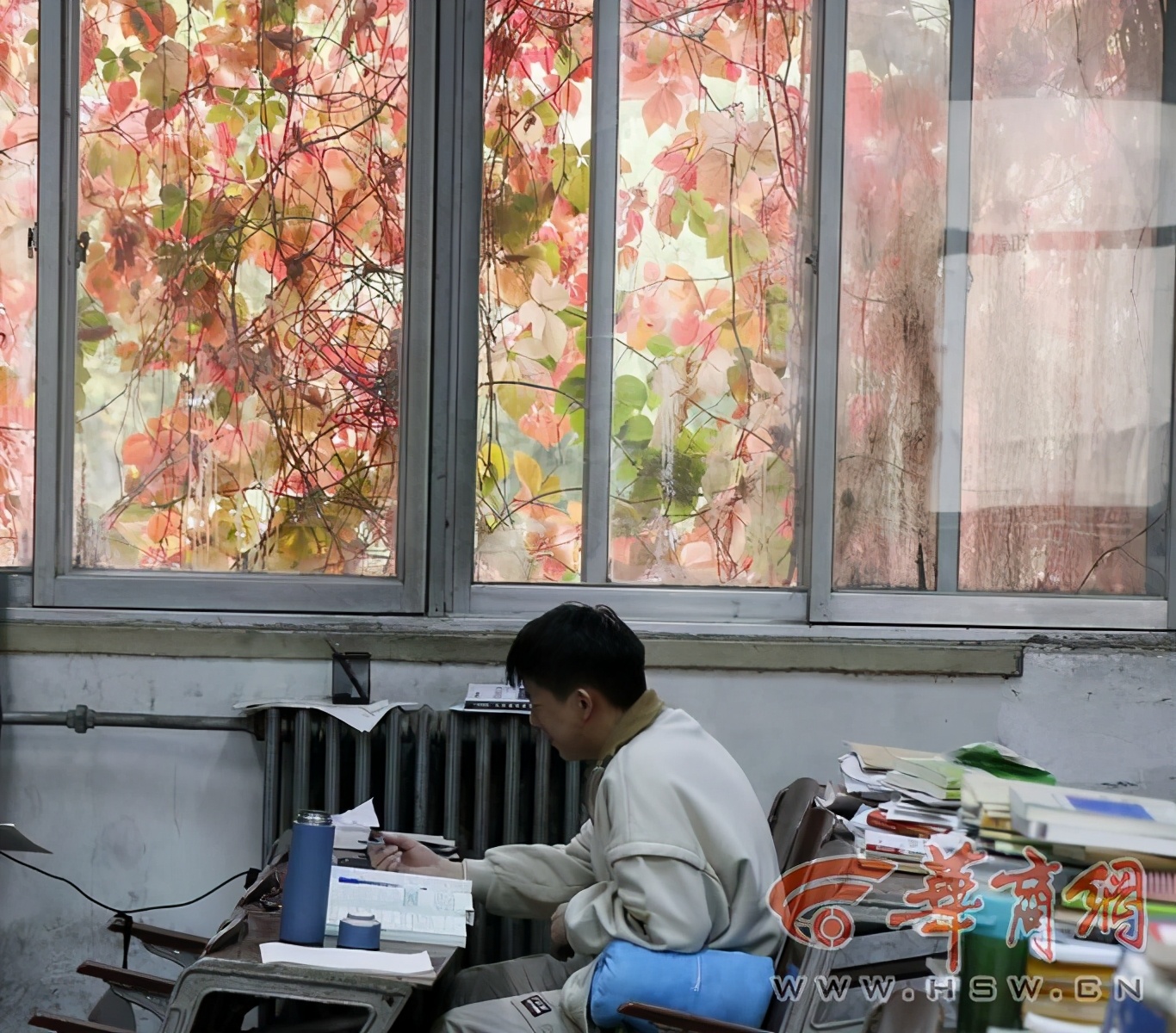 神奇！西安理工大学有道“爬山虎瀑布”，已挂30年，到了秋天就变红