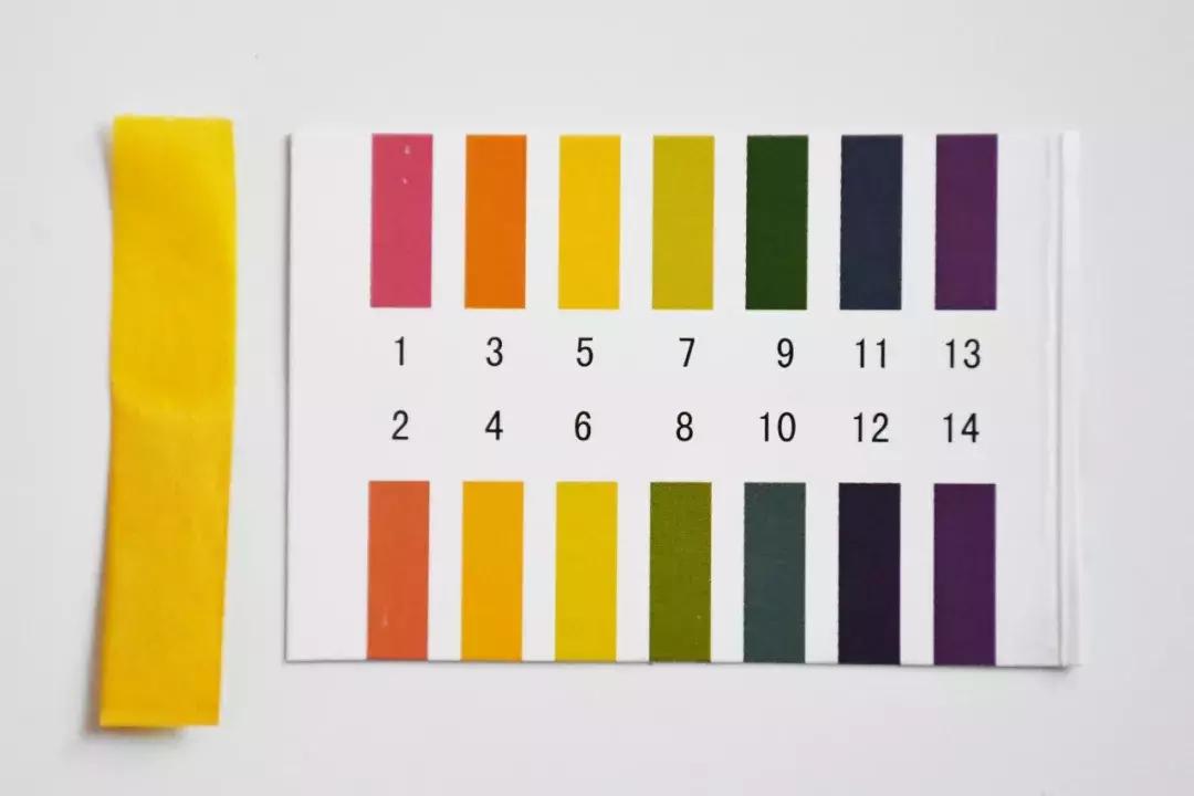 一年四季都要用好物推荐,春季好物推荐