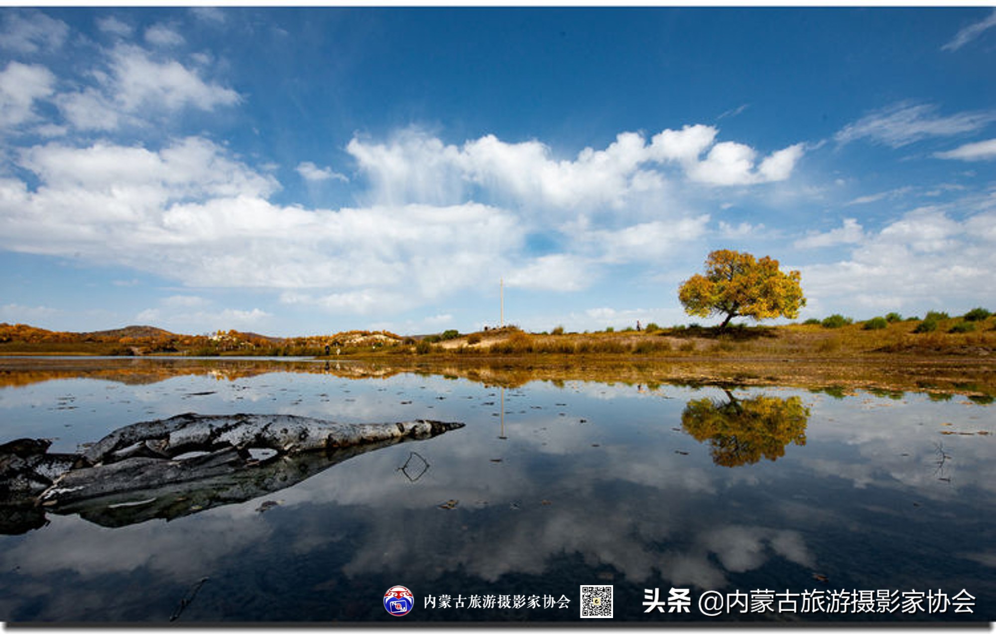 那山那水那滋味,那山那水那份爱