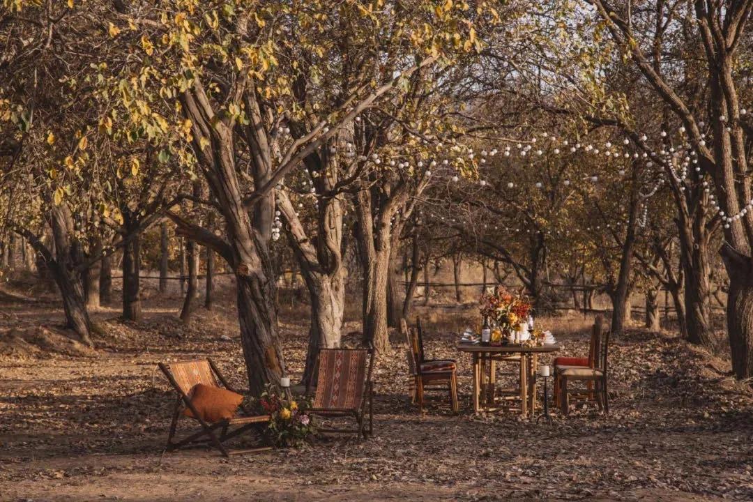 国内必拍的10家最美网红民宿,适合拍照的网红民宿