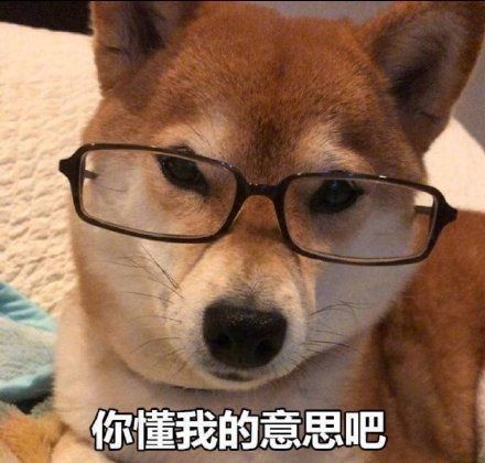 年底骗局大揭秘,年底骗局大盘点