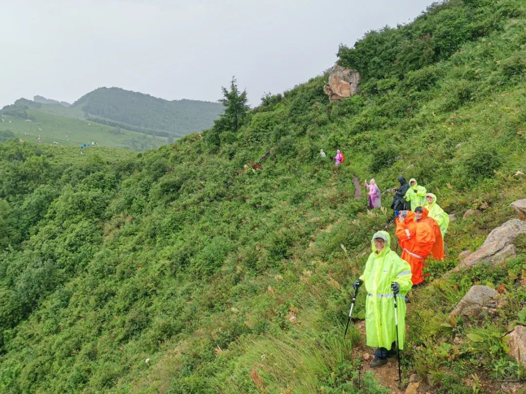 徒步穿越北驼梁完整版,穿越花海古道游记