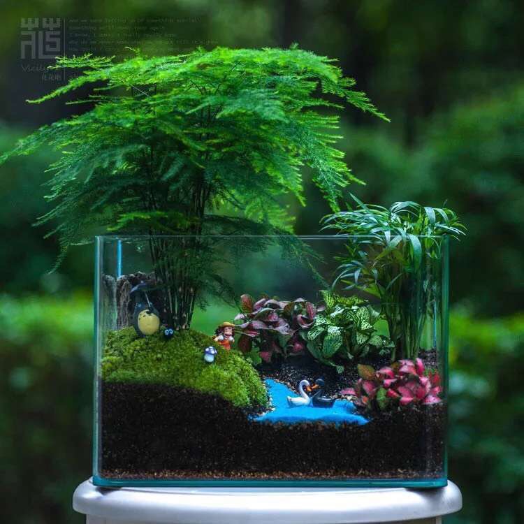 如何调节水质ph为7,水质酸碱度变化后会自动恢复吗