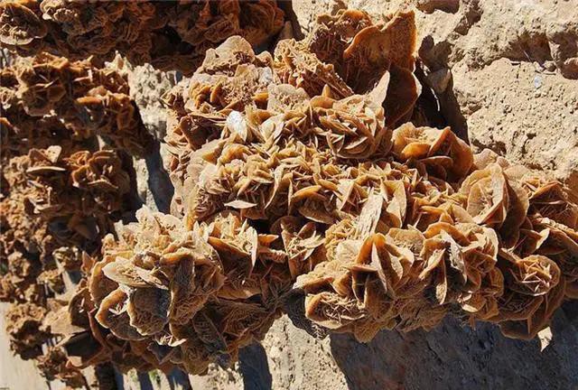 沙漠中看到石头为什么一定要捡,沙漠中看到石头为啥要捡