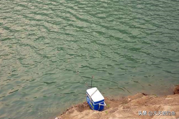 钓鱼一定要选好位置,钓鱼要选草多的地方吗