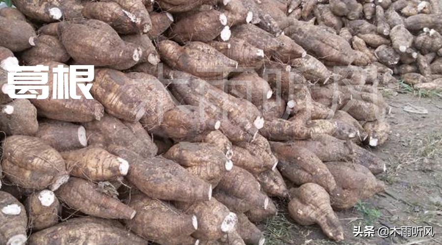 葛根被亚洲称为什么,葛根又被称为什么