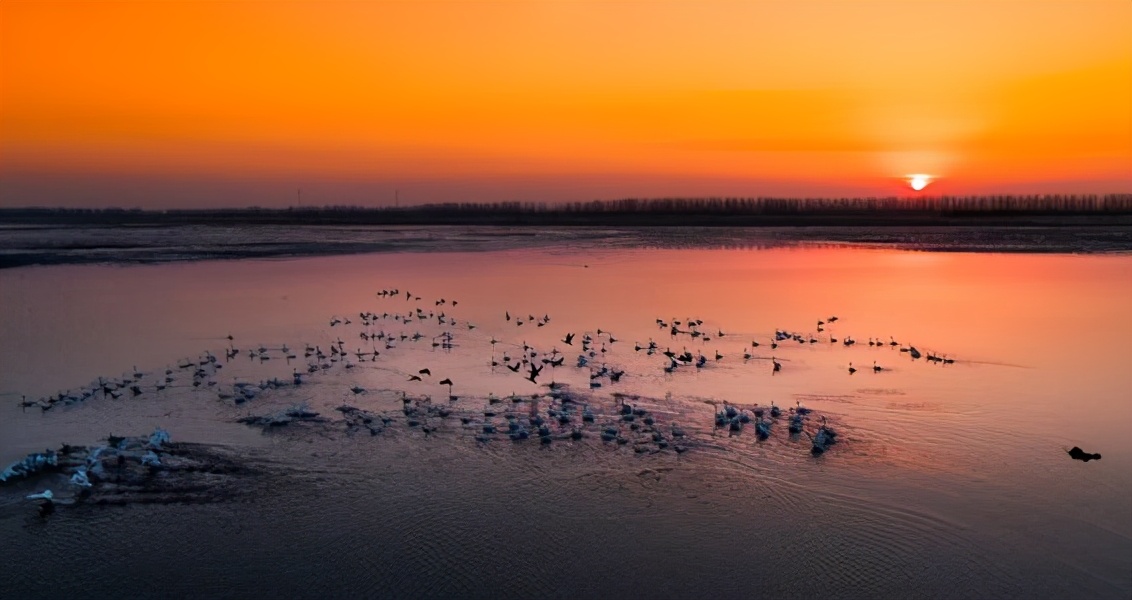 风力发电为什么被称为垃圾电,为什么现在到处建风力发电