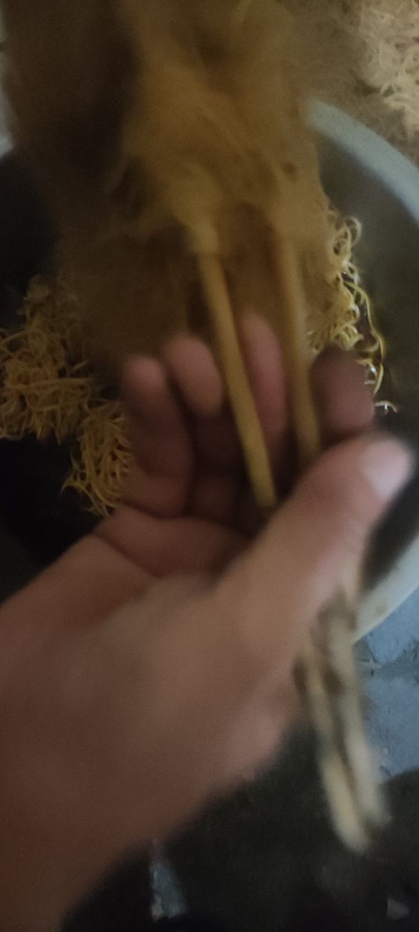 蒜苔蒸面条最好吃的做法,包菜蒸面条最好吃的做法