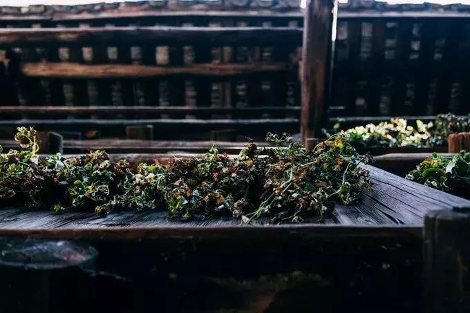 去漳州玩住厦门还是漳州,旅游去厦门还是去泉州