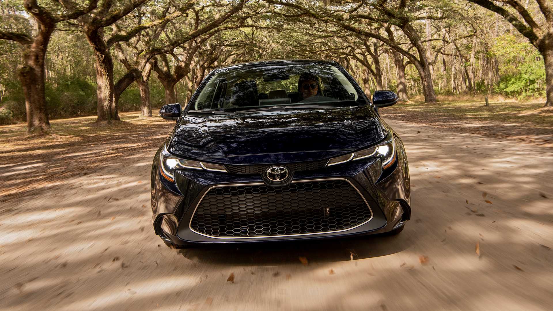 信心爆棚,丰田美国版本卡罗拉