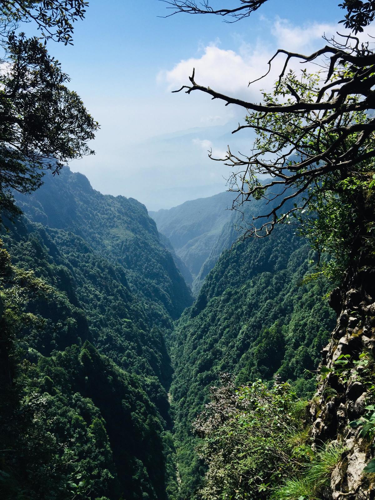峨眉山登顶佛像,峨眉山登顶记完整版