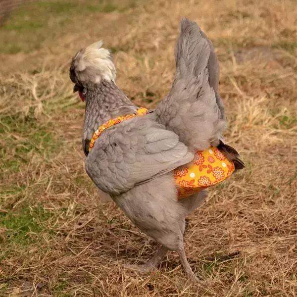 奇葩！！合租室友往我的lamer精华里注入了水？