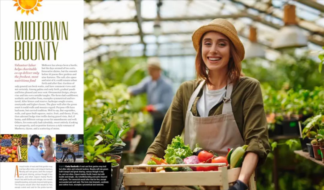 设计布局大全,设计师布局技巧