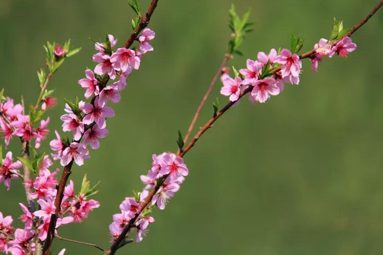 尼康入门单反,单反快速入门攻略