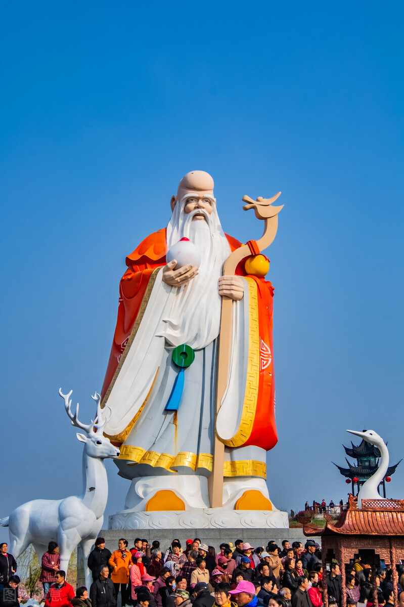 头骨有哪些有意思的特点,你的后脑勺是圆还是扁