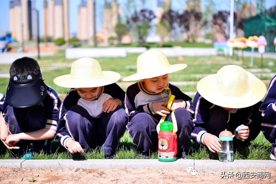 康桥国际学校适合什么样的孩子,康桥菁英励志教育