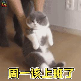 猫咪怕水怎么吃鱼,猫不会捕鱼它是怎么知道鱼好吃的