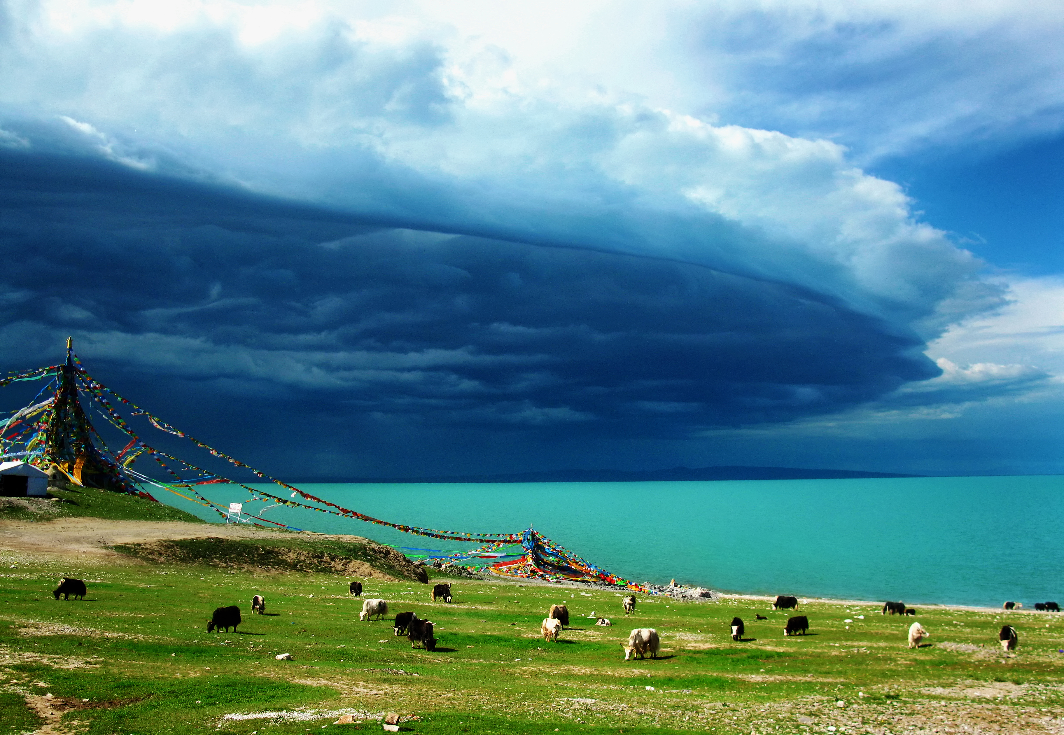 追云十年,细数我见过的那些惊世骇俗的“妖云”
