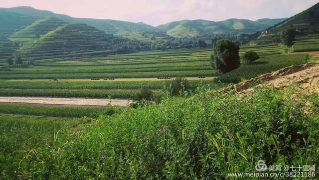 大美汨罗我的家,大美宝丰我的家