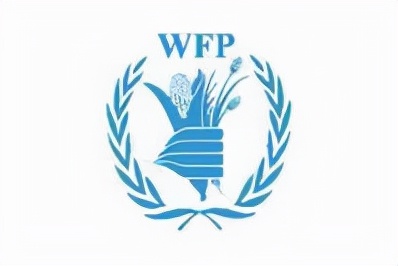 世界组织旗帜大全,国际组织的标志大全