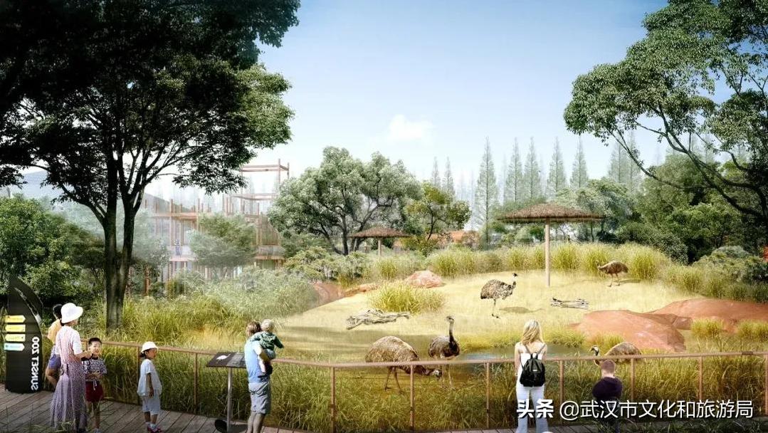 武汉动物园哪一个更好玩,九峰森林动物园与武汉动物园