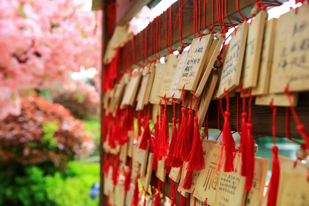 住进风景里温泉酒店,住进风景里旅游度假温泉酒店