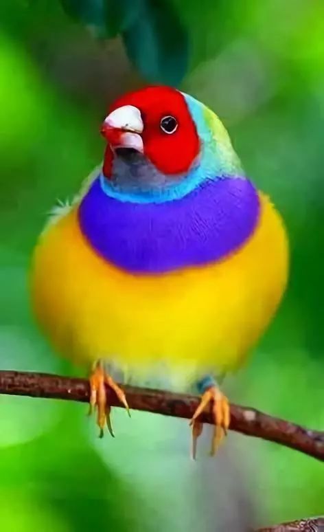 社会犹如一条船,社会就像一个丛林