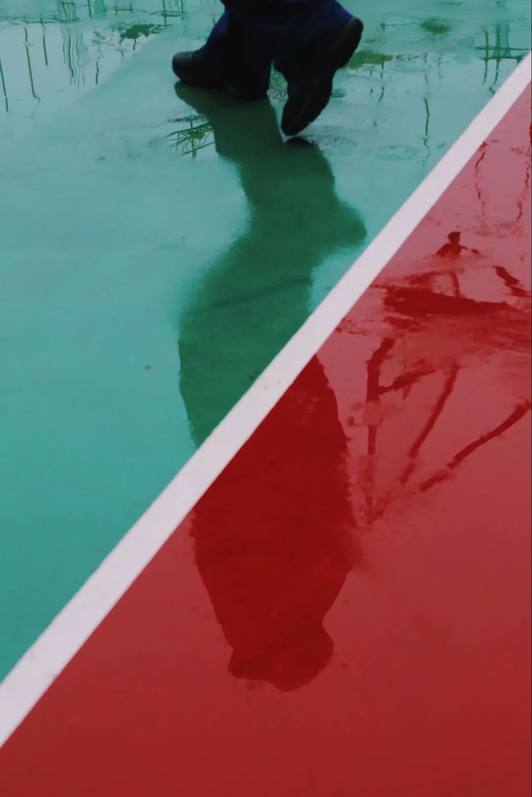 在江夏，我遇见了青松