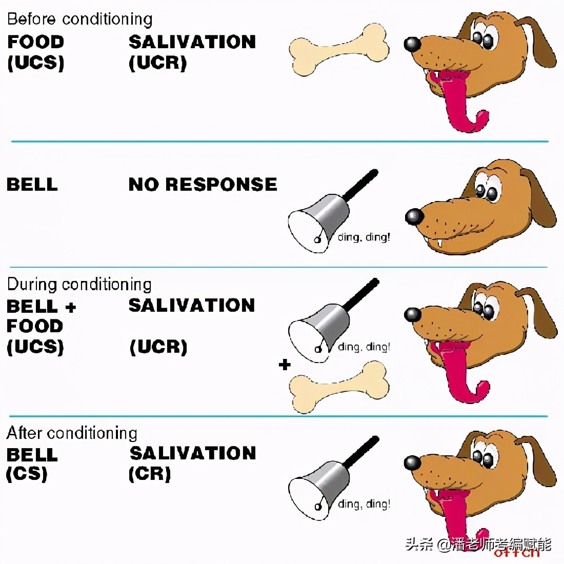 教招考试中常考的实验有哪些？