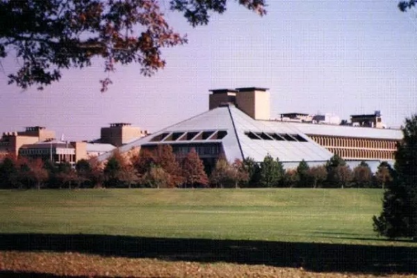 最近比较火的bt种子,十年前的bt种子如何解析