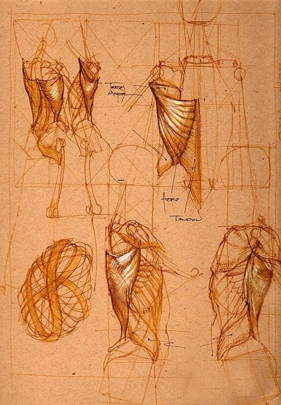 透视表现空间的基本方法,透视解剖学原理书籍
