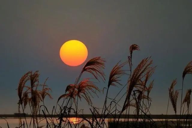 真正有城府的人的五句话,有城府的人往往不动声色