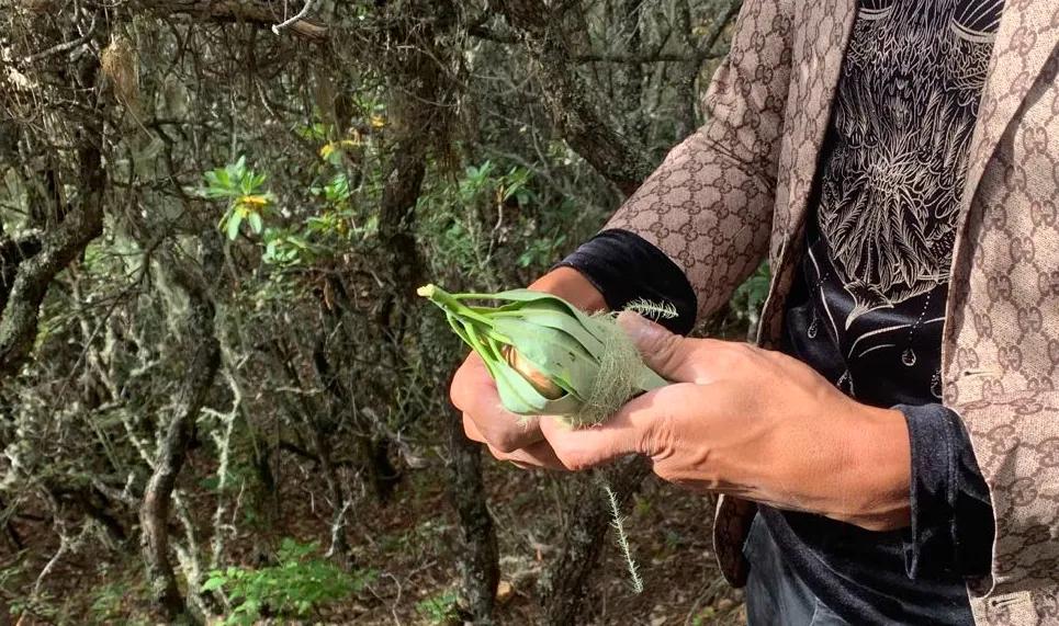 香格里拉有什么不能冒犯,香格里拉为什么神秘