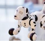 2019年做什么有前景？这几个生意蕴藏着商机