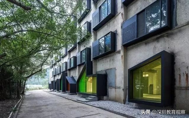 走名校vol.8|三年，明德国际体系走出怎样一条新路？