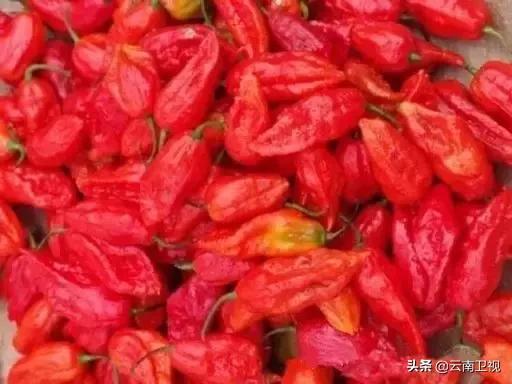 五一节邀您看《味道云南》第二季有一种美食叫“傣味”