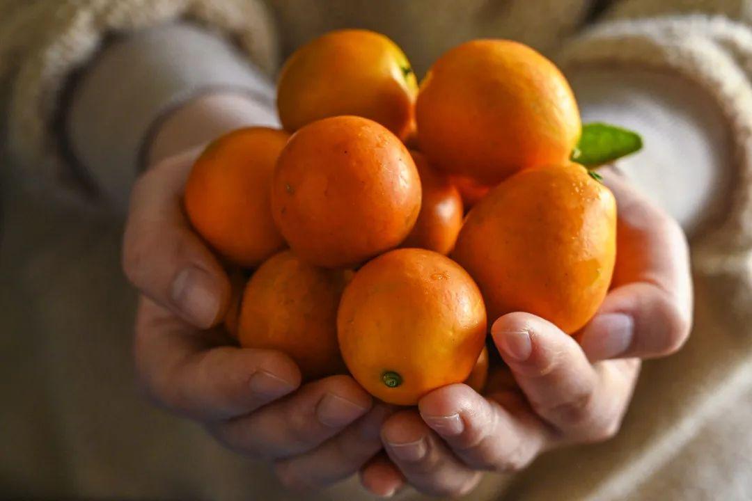 冰糖心金桔独立包装,冰糖心苹果顺丰包邮