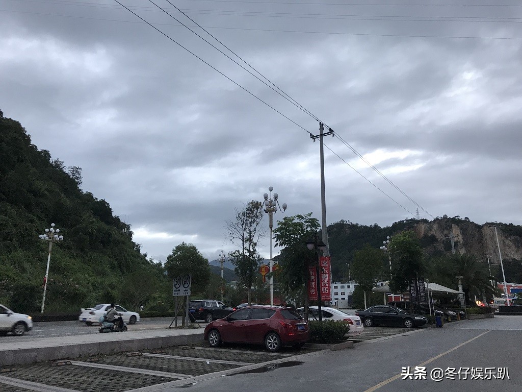 关于白茶的六大谣言,白茶过曝