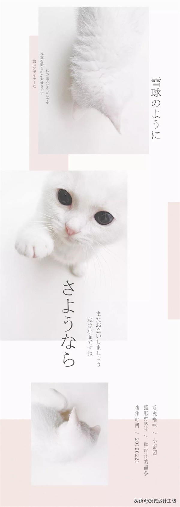 一张照片就能做出一幅海报,随手一拍怎么拍成大片