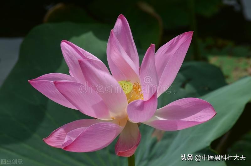 畏寒怕冷，脉象沉紧，体内寒邪过重，中医如何调理？