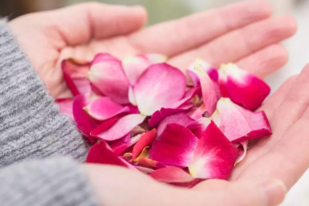 撩炸日韩少女心！风靡韩国的「花草系」咖啡店，韩国明星都爱去！