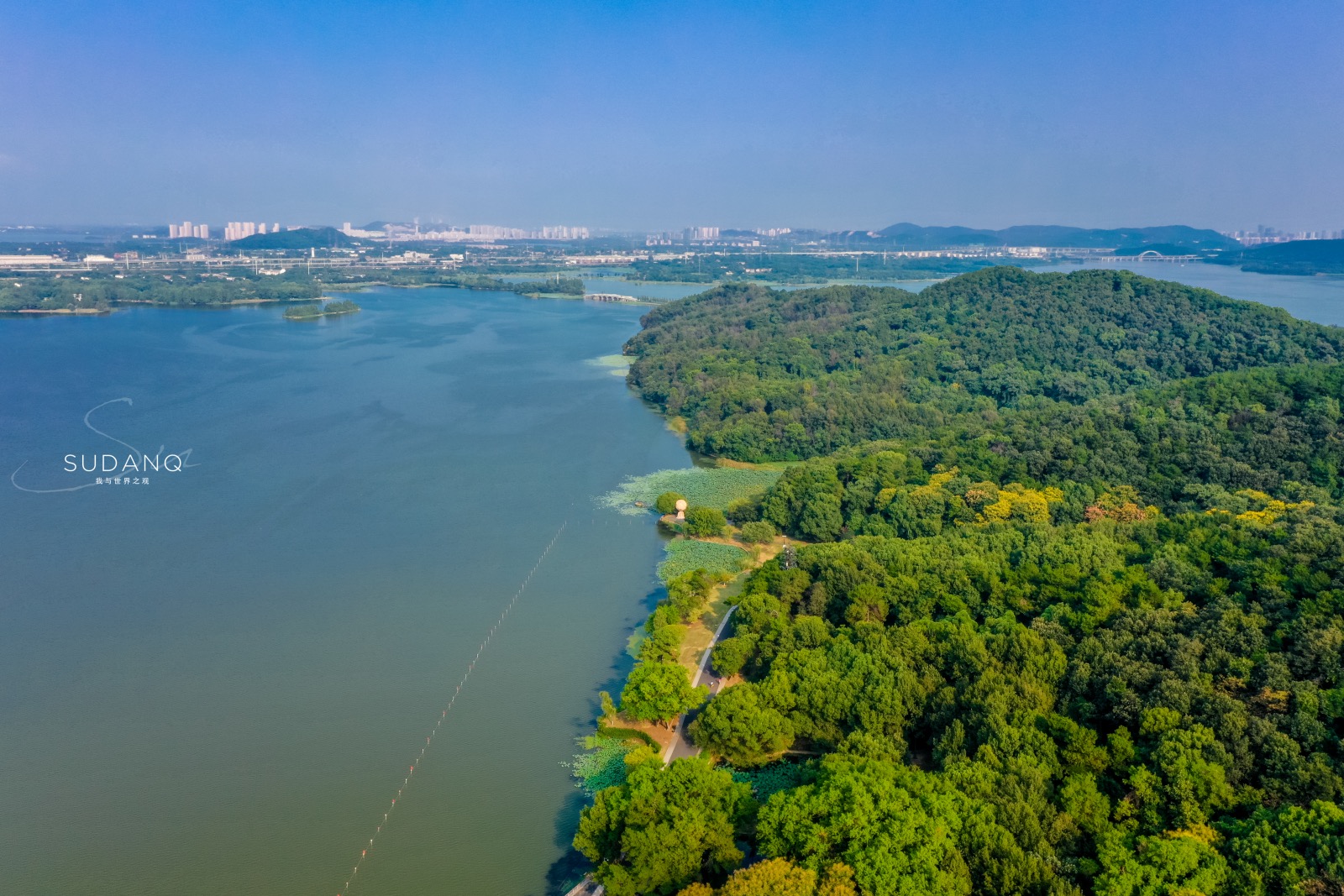 武汉东湖发生什么事,武汉东湖最近发生的大事