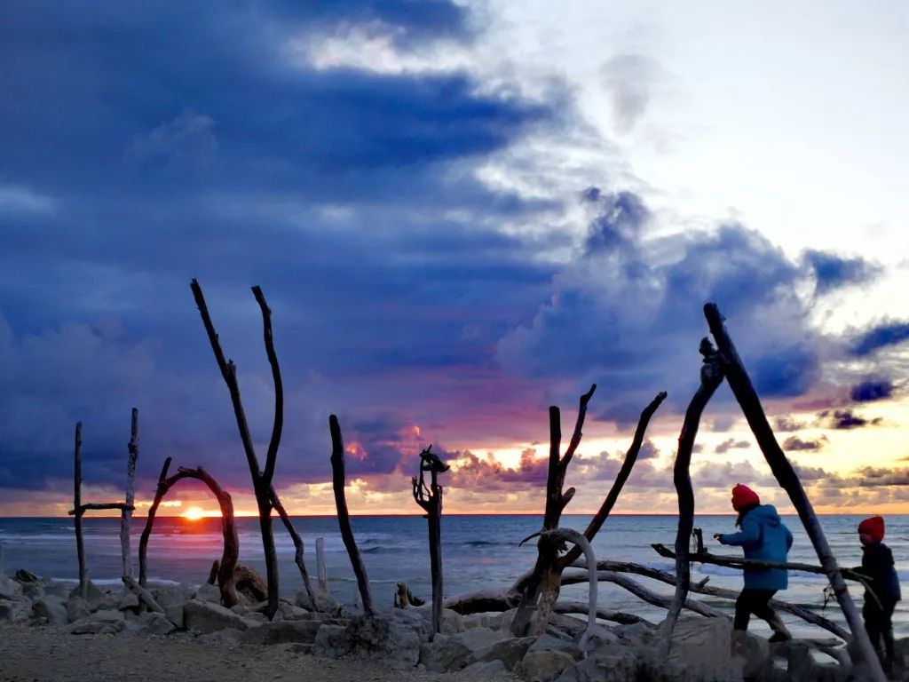 中国小伙去新西兰却横扫对手获得冠军，每份食材在手上都是艺术品