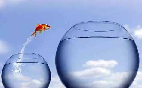 国企，月薪4000，朝九晚六：别人劝你跳出舒适圈，我劝你别辞职