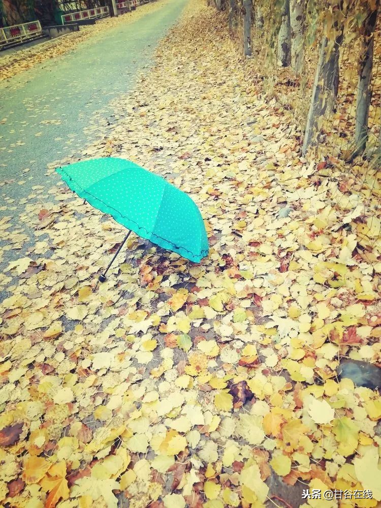 鍦ㄦ柊鐤嗙殑鐢樿們濂冲鏀暀,鏂扮枂鍜岀敯鏀暀鑰佸笀