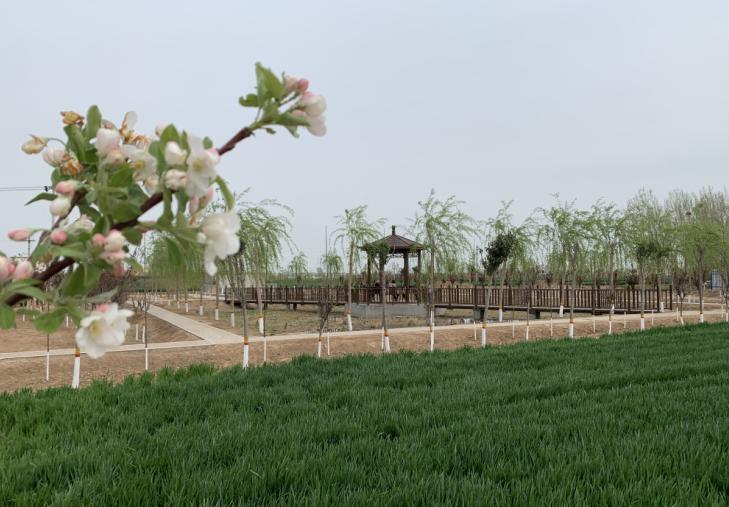 缇庝附涔℃剚缁垮寲缇庡寲,缇庝附涔℃剚涔℃潙缁垮寲瑙嗛