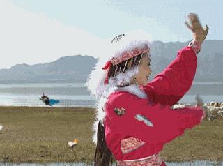 当它们在吃屎时,它们在吃什么?