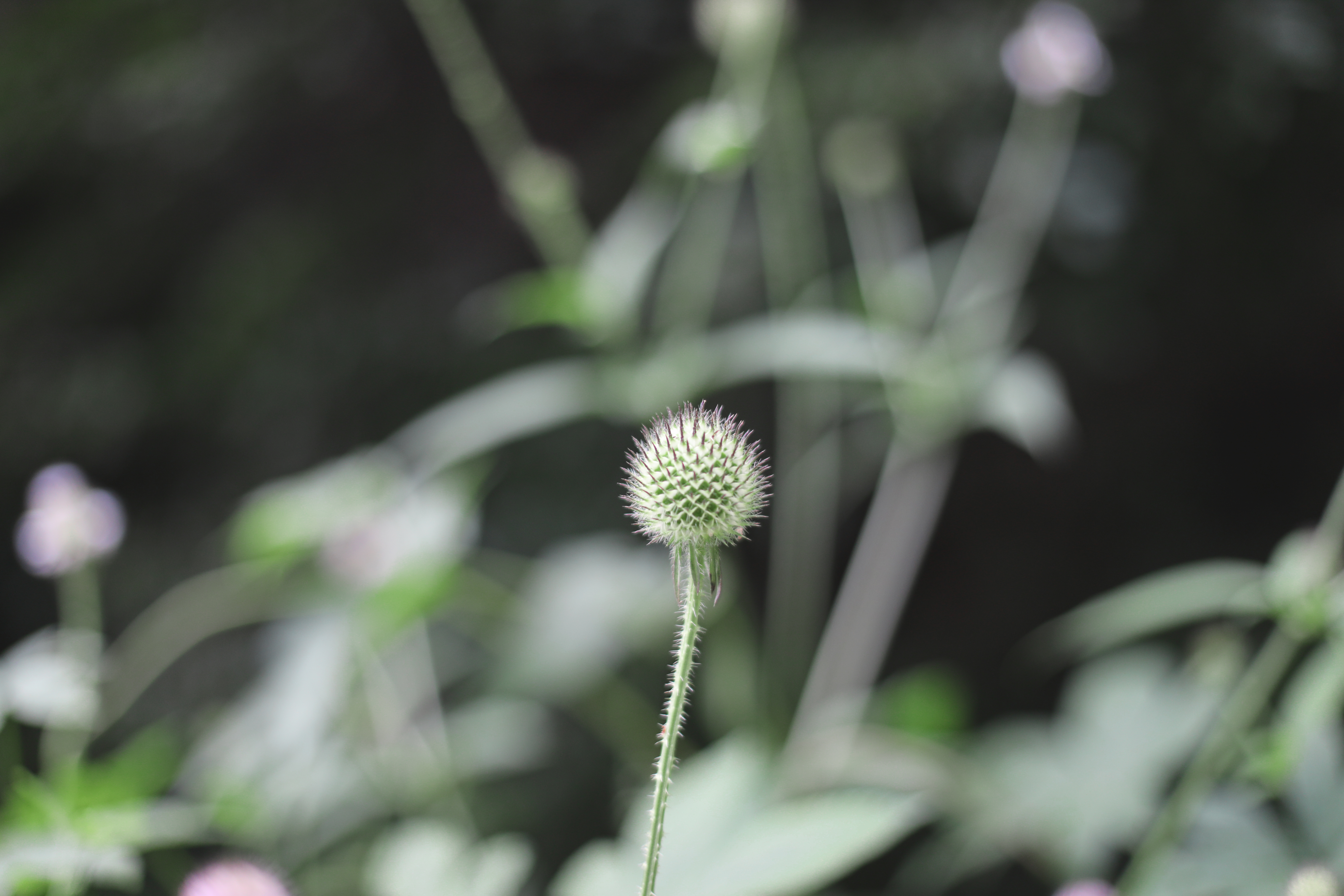 京郊十条登山步道推荐,房山蝴蝶谷登山步道